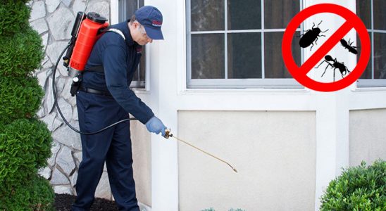 Muratlı Haşere İlaçlama böcek ilaçlama ve haşere kontrolü — ilaclama-tr.com